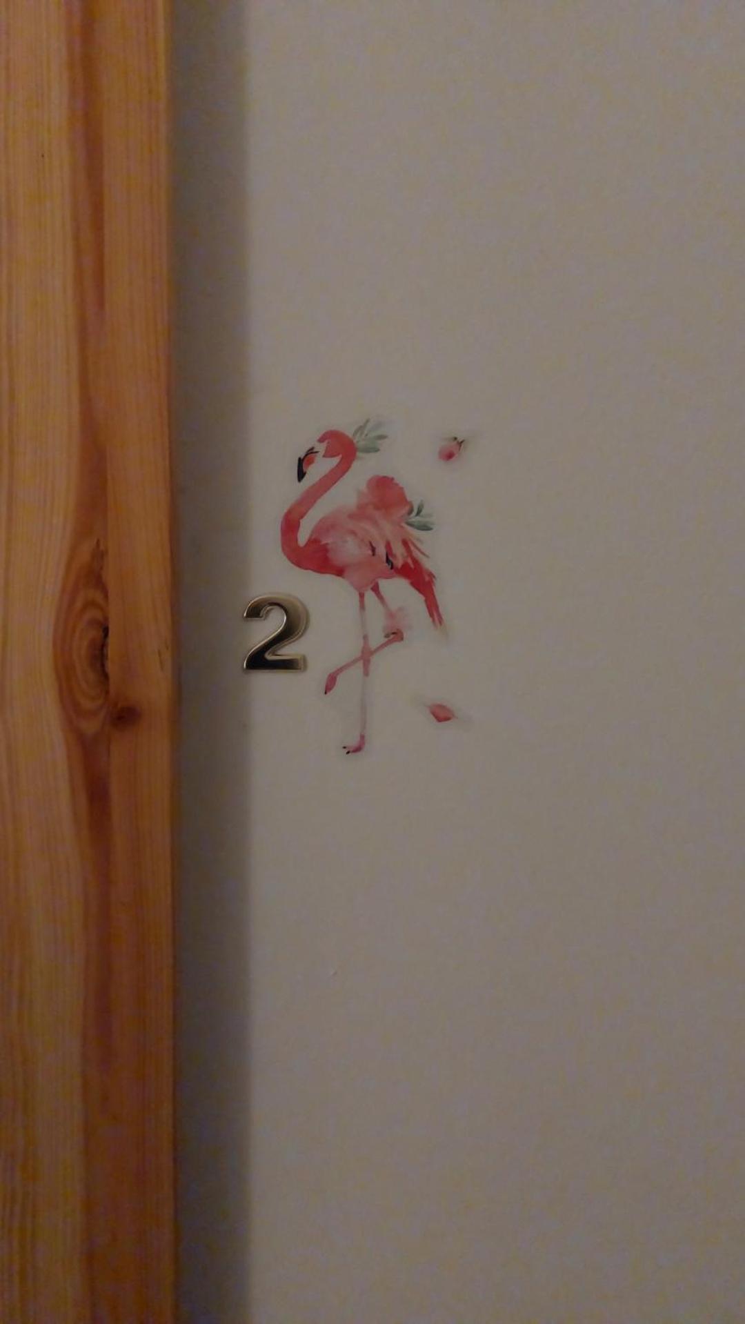 1 Flamingos